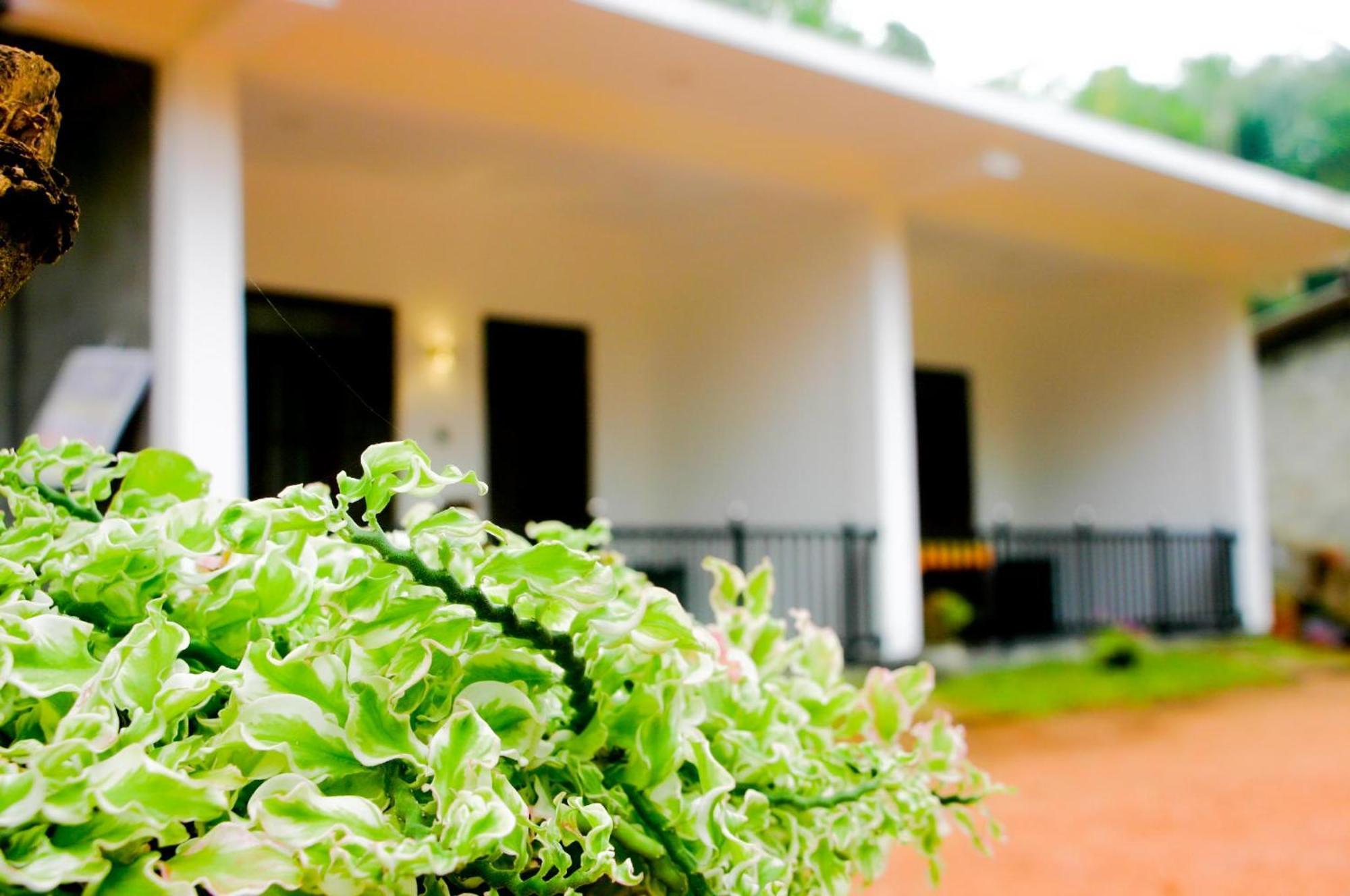 Sigiri Heaven Villa Sigiriya Ngoại thất bức ảnh