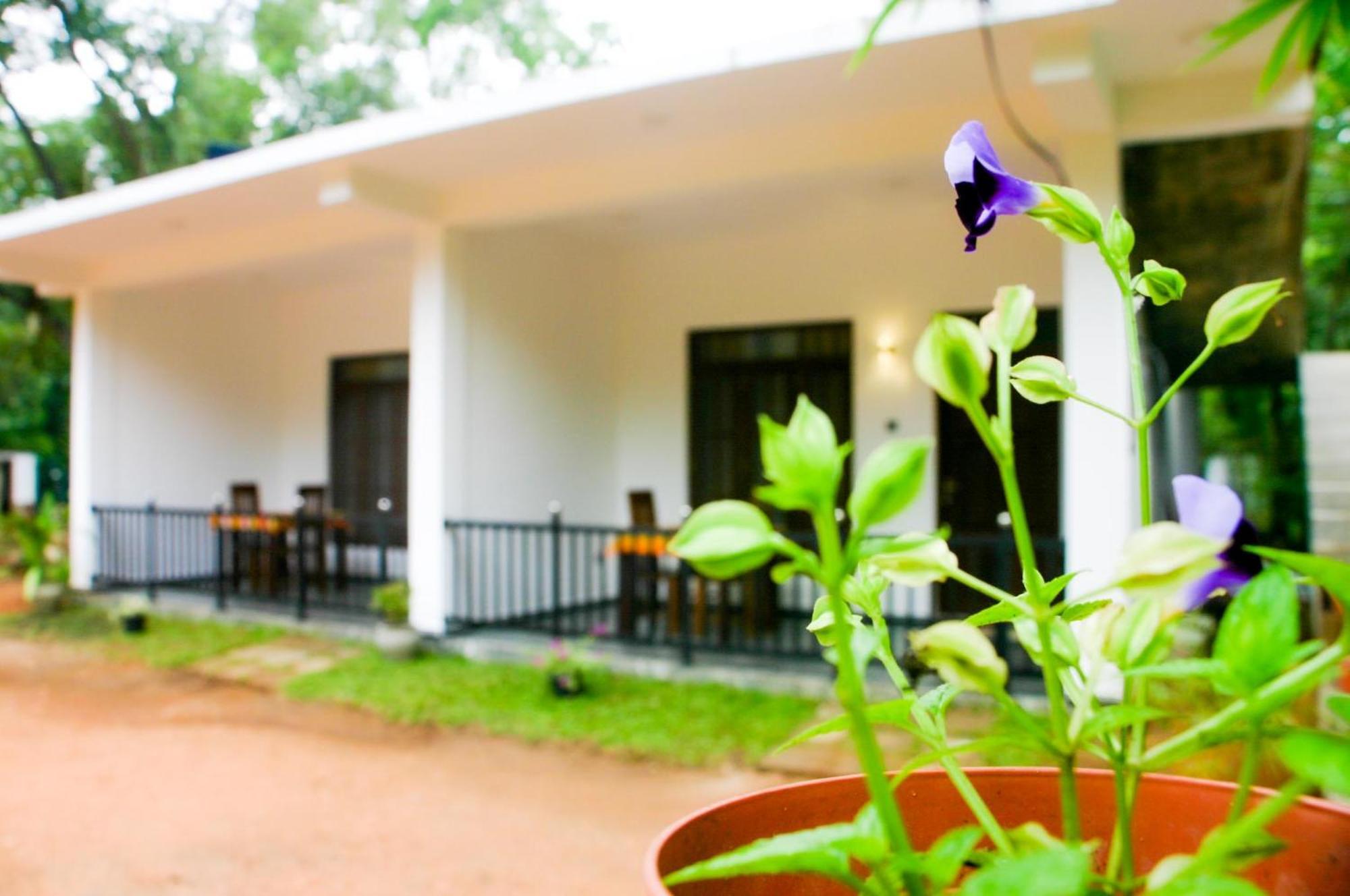 Sigiri Heaven Villa Sigiriya Ngoại thất bức ảnh